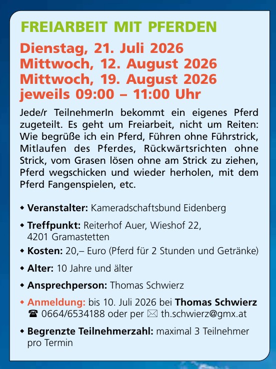 04 Freiarbeit Pferde